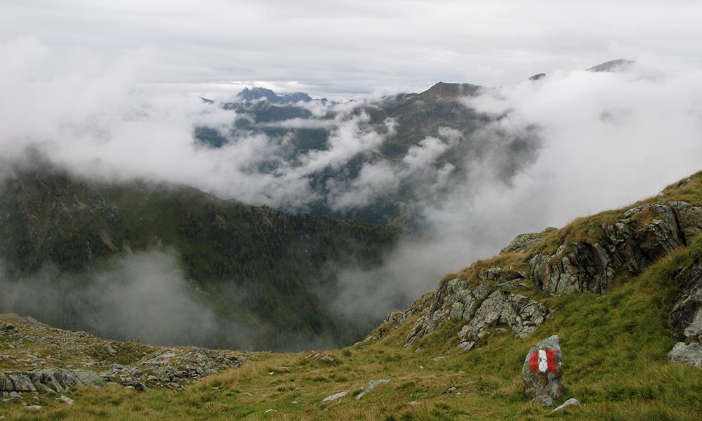 weissespitze